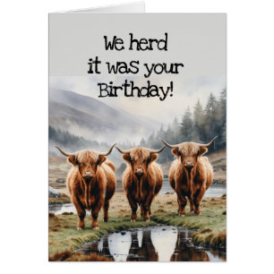 We Herd it Was Your Birthday Fun Cow Humor Cards
