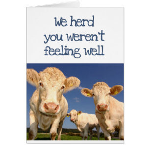 We Herd You Weren't Feeling Well Fun Cow Humor Cards