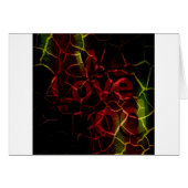 We love (Front Horizontal)