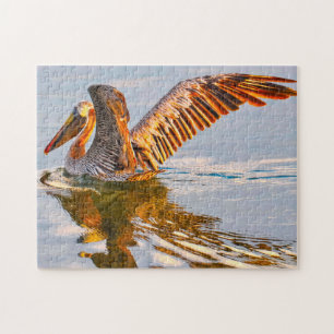 We love Brown Pelicans Florida Jigsaw Puzzle