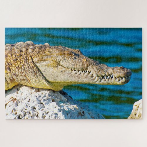 We love Gators in Florida Jigsaw Puzzle