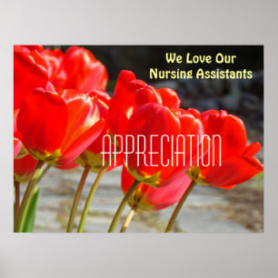 We Love Our Nursing Assistants poster Appreciation