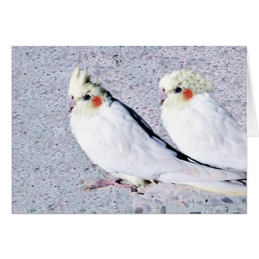 We Love You.JPG (Front Horizontal)