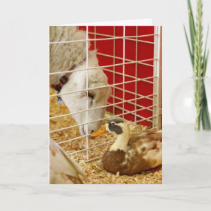 We make an odd pair... holiday card