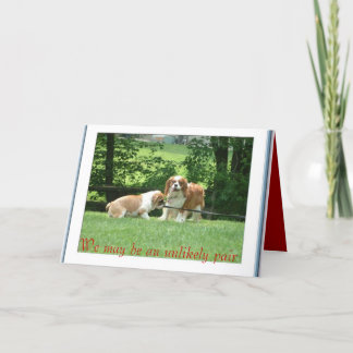 We May Be an Unlikely Pair Card