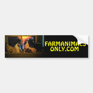 We Met on Farmanimalsonly.com Bumper Sticker