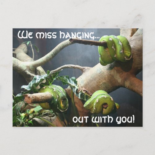 We miss hanging out with you postcard