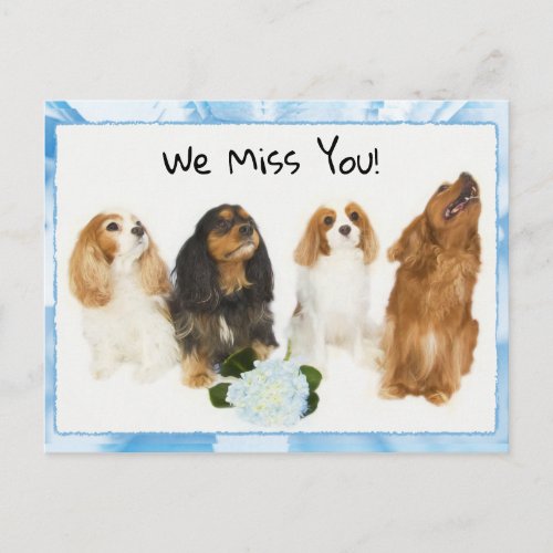 We Miss You 4 Cavalier King Charles Postcard