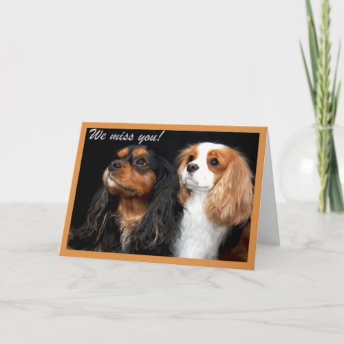 We miss you Cavalier King Charles Spaniel Card