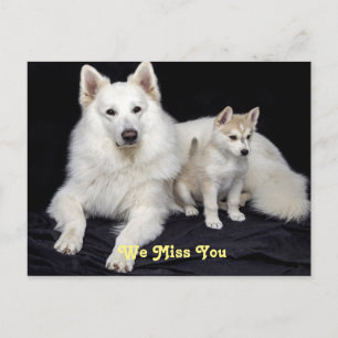 We miss you cute mamma dog and pup postcard