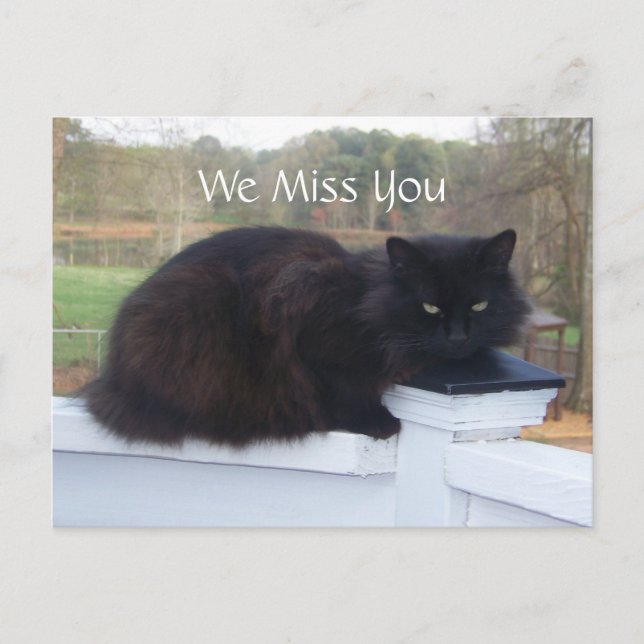 We Miss You Kitty Postcard (Front)