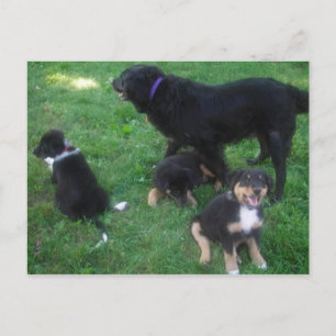 We Miss you Postcard