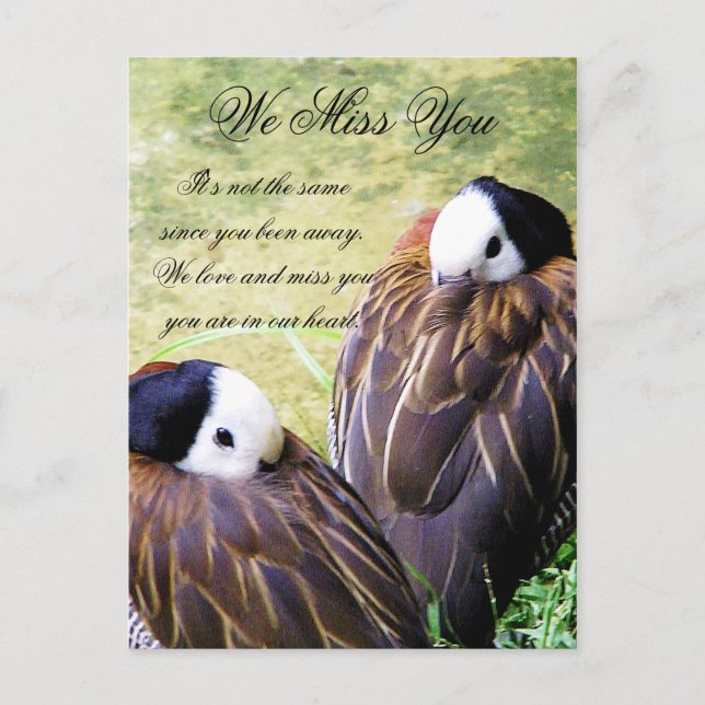 We Miss You_ Postcard (Front)