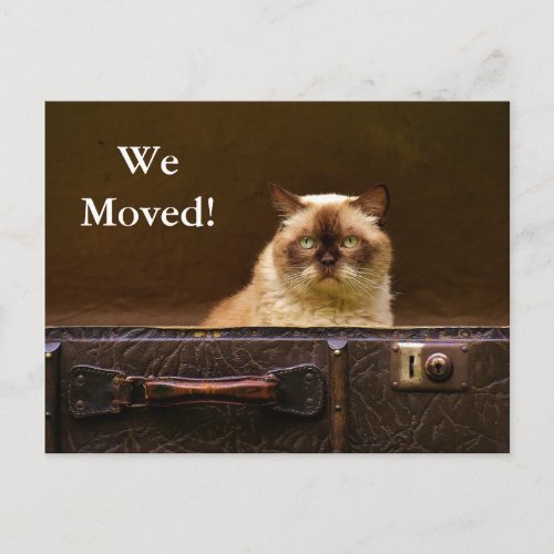 We Moved New Address Announcement cat in suitcase