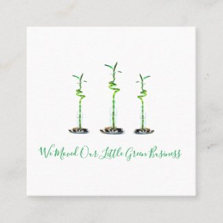 We Moved New Business Address Lucky Bamboo