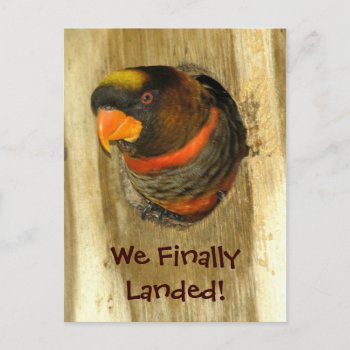 We Moved Postcard by LivingLife at Zazzle