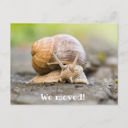 We moved postcard with snail