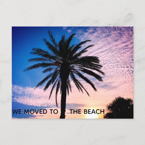 We Moved To The Beach Palm Tree Photo Home Moving Postcard