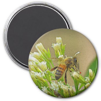 We Need Bees Magnet by SuzisView at Zazzle