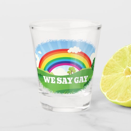 We Say Gay Rainbow Pride Shot Glass