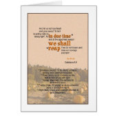 We Shall Reap - Galatian 6:9 (Front)