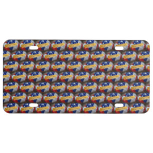 We The People American Flag License Plate