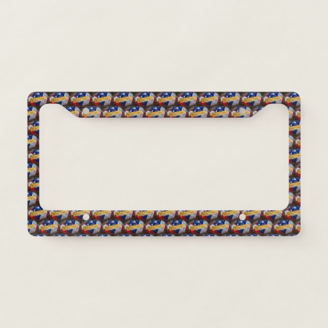 We The People American Flag License Plate Frame (Front)