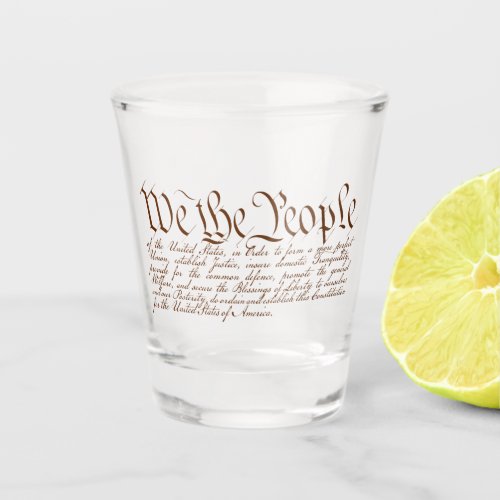 We the People Shot Glass