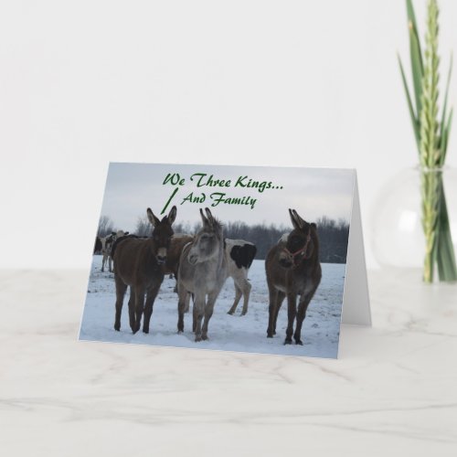 We Three Kings And Family Holiday Card