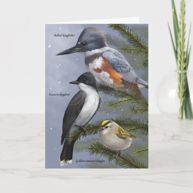 'We Three Kings' Holiday Bird Card (Front)