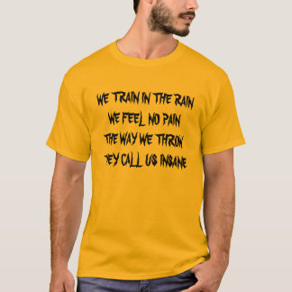 WE TRAIN IN THE RAINWE FEEL NO PAINTHE WAY WE T... T-Shirt