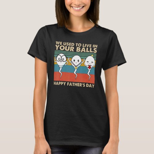 We Used To Live In Your Balls Happy Fathers Day B T_Shirt
