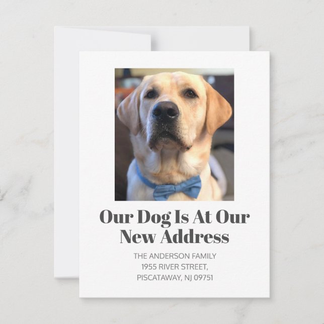 We’ve Moved Golden Retriever Pet Dog Name Moving Announcement (Front)