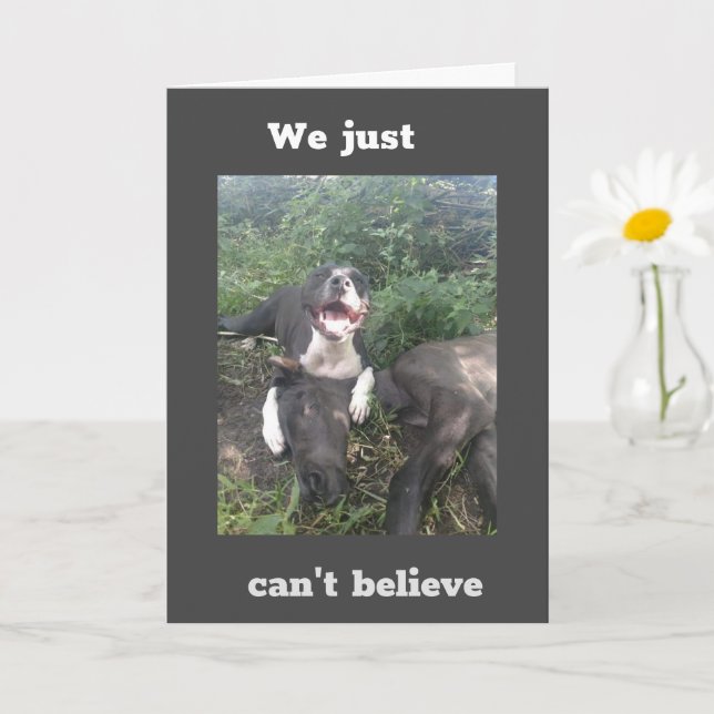 WE WANT TO SAY **HAPPY 40th BIRTHDAY** Card (Small Plant)