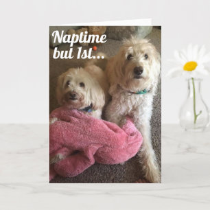 WE WANT "YOU" TO HAVE A VERY HAPPY BIRTHDAY CARD