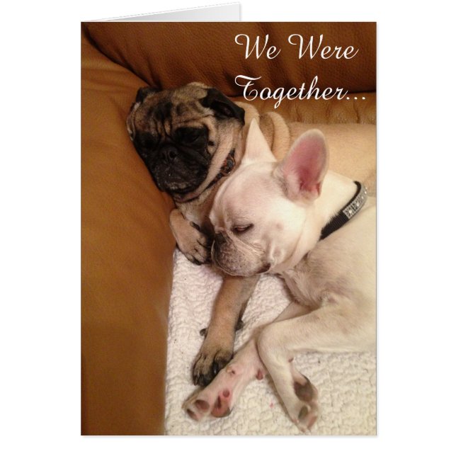 We Were Together... Cards (Front)