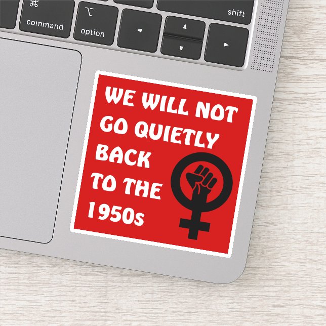 We Will Not Go Back Womens Rights Sticker (Detail)