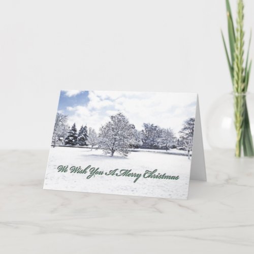 WE WISH YOU A MERRY CHRISTMASCUSTOMIZABLE CHRISTM HOLIDAY CARD