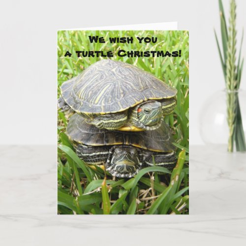 We wish you a turtle Christmas Holiday Card