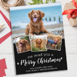 We Woof You Merry Christmas Dog Pet Photo Collage  Postcard<br><div class="desc">We Woof You A Merry Christmas! Send cute and fun holiday greetings with this super cute personalized custom pet photo holiday card. Merry Christmas wishes from the dog with cute paw prints in a fun modern photo collage design. Add your dog's photos or family photos with the dog, and personalize...</div>