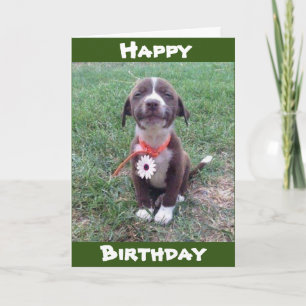 ***WEARING A DAISY JUST FOR YOU*** HAPPY BIRTHDAY CARD