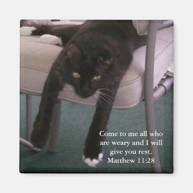 Weary Mr. B magnet (Front)