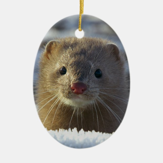 weasel ceramic ornament (Front)