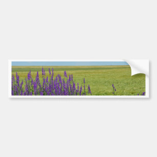 Weat Fields with Purple Wild Flowers Bumper Sticker