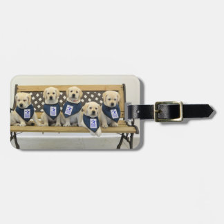 Weather Bench Luggage Tag - Personalized