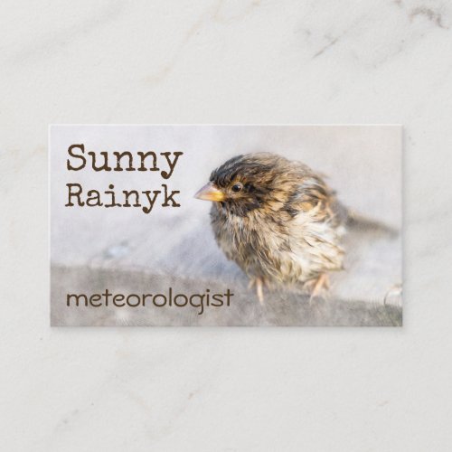 Weather Forecast Funny Customizable Business Card