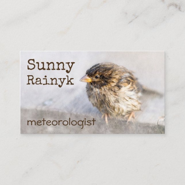 Weather Forecast Funny Customizable Business Card (Front)