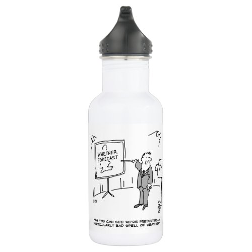 Weather Forecaster Predicts Bad Spell of Weather Stainless Steel Water Bottle