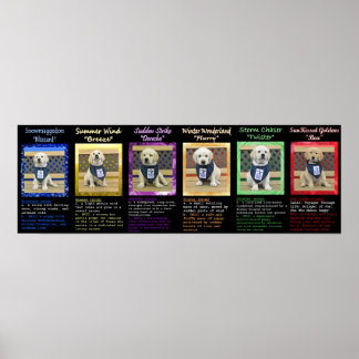 Weather Litter and Bea Name Definitions Poster