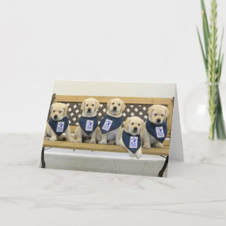 Weather Litter Bench Photo Card